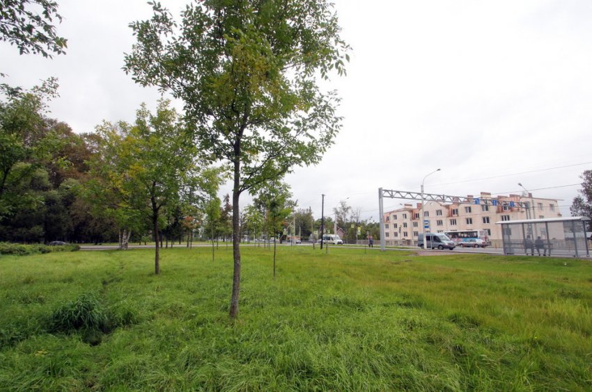 Пустырь на Санкт-Петербургском шоссе в Стрельне застроят спорткомплексом - «Свежие новости строительства»