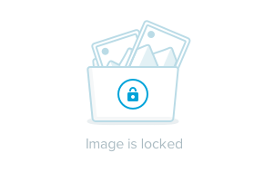 Строительство доступного жилья недопустимо - «Недвижимость»