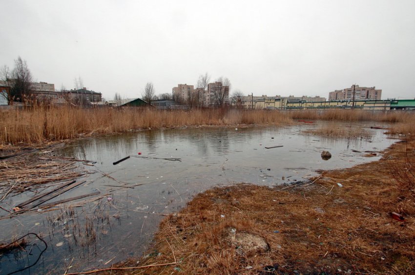 Во дворах на улице Веры Слуцкой в Колпине построят жилой дом - «Свежие новости строительства»