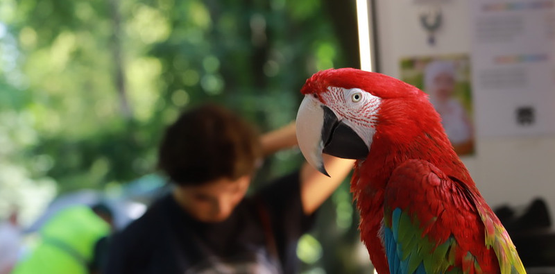 Фотофакт. Как горожане спасались от жары в парке Горького и в фонтане на улице Пулихова - «Свежие новости строительства»