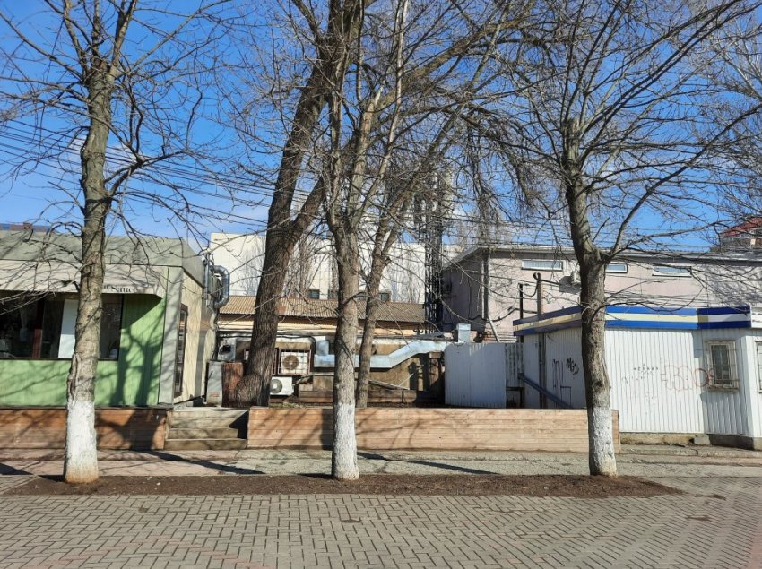 В каких ростовских парках живет "гений места" - «Строим Город»
